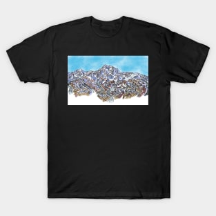 Denali Landscape T-Shirt